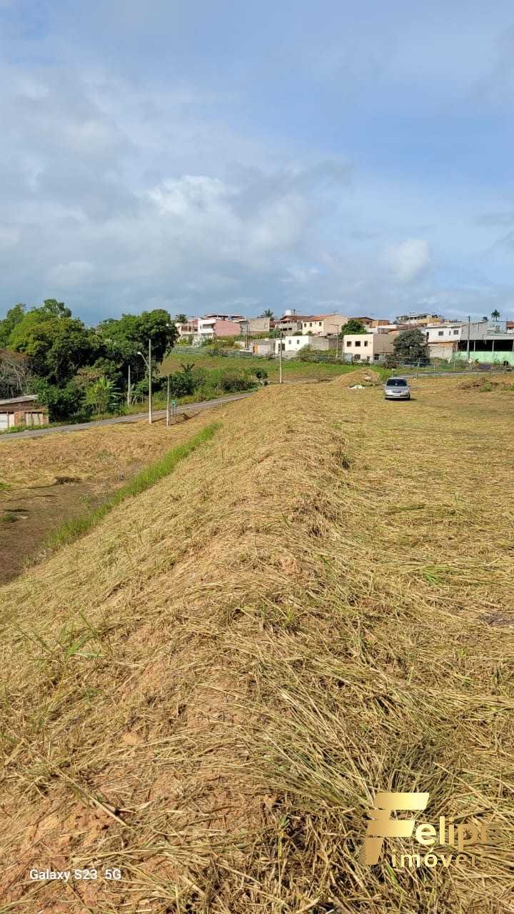 Loteamento e Condomínio à venda, 3000m² - Foto 10