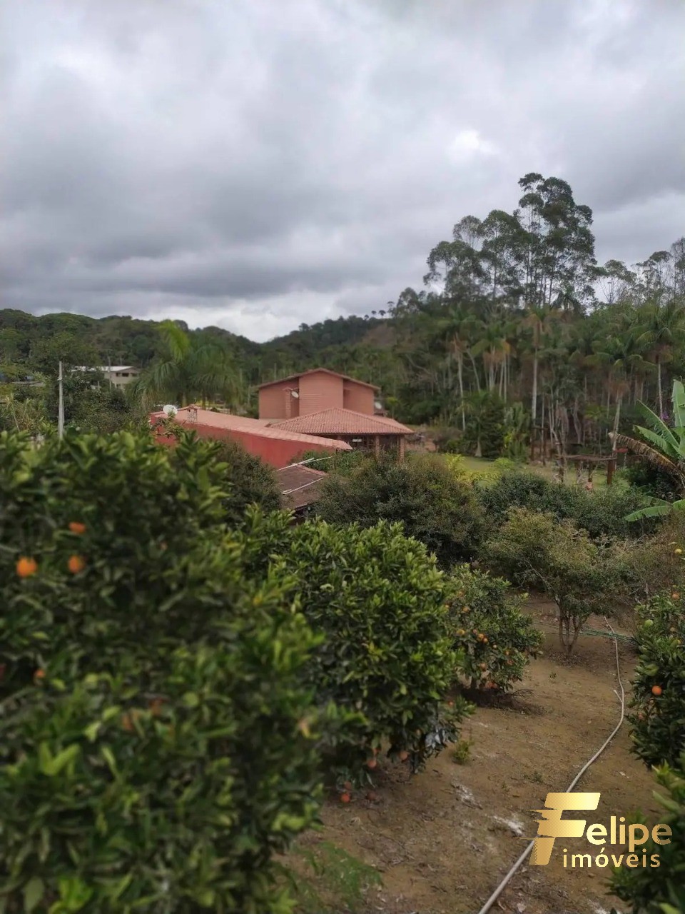 Sítio, 4 quartos, 200 m² - Foto 14