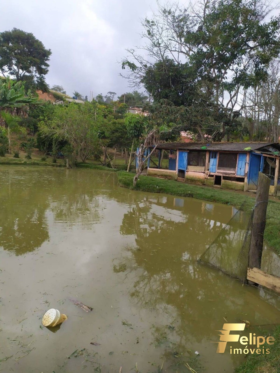 Sítio, 4 quartos, 200 m² - Foto 13