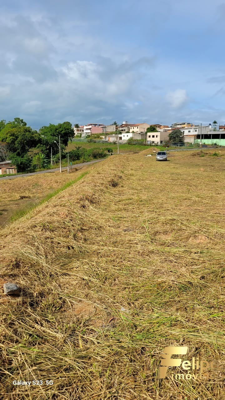 Loteamento e Condomínio à venda, 3000m² - Foto 5