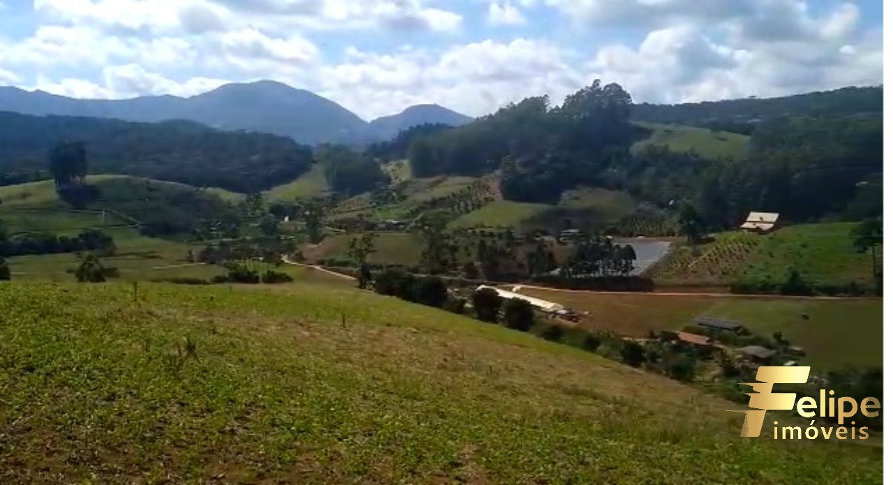 Terreno, 3 hectares - Foto 6