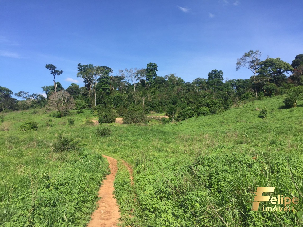 Fazenda à venda com 1 quarto, 113m² - Foto 32