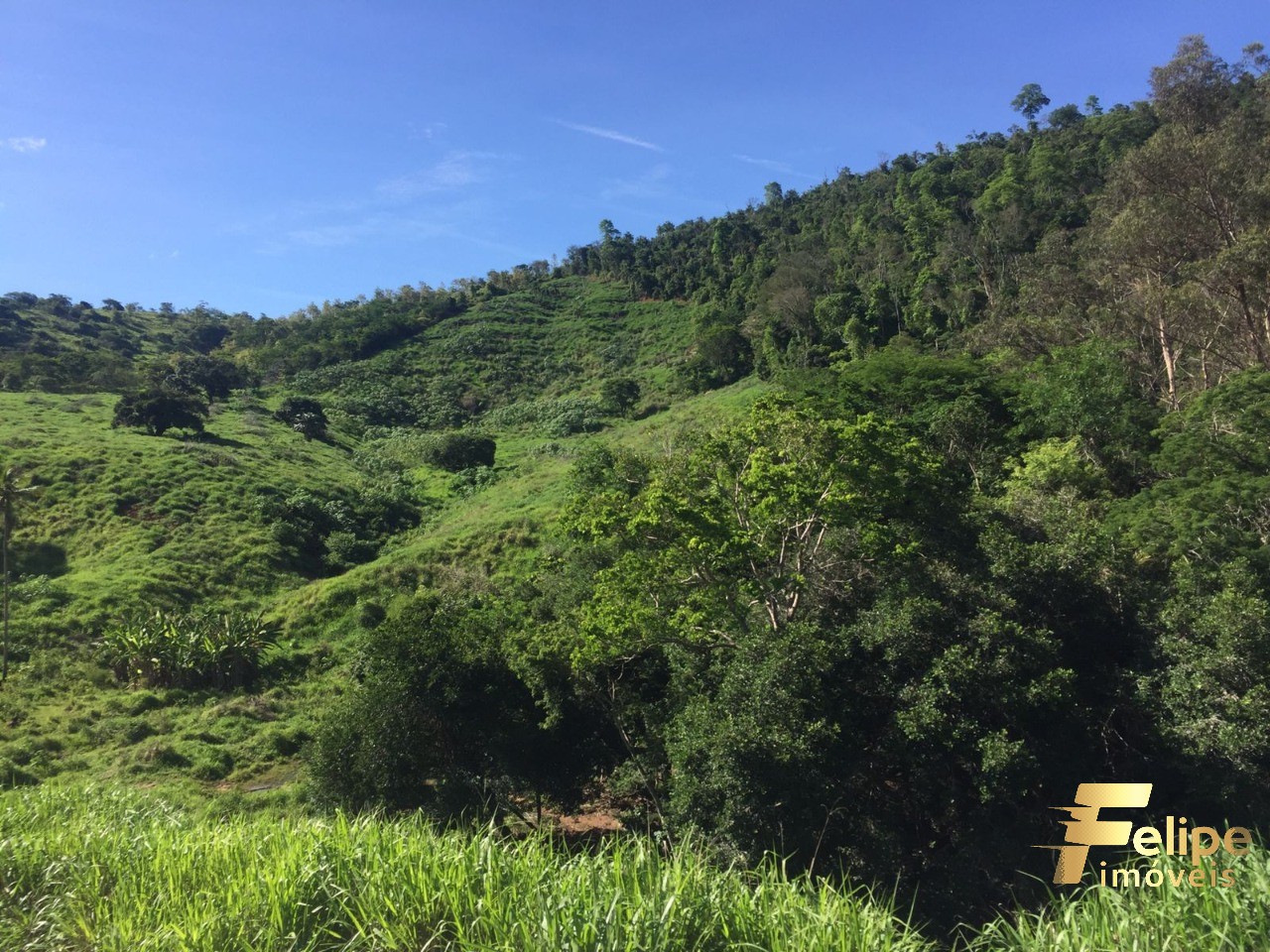 Fazenda à venda com 1 quarto, 113m² - Foto 10