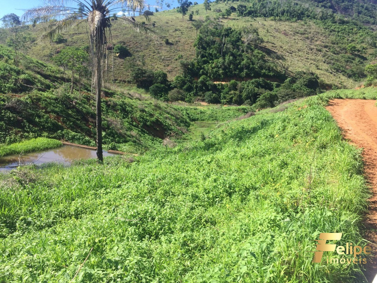 Fazenda à venda com 1 quarto, 113m² - Foto 27