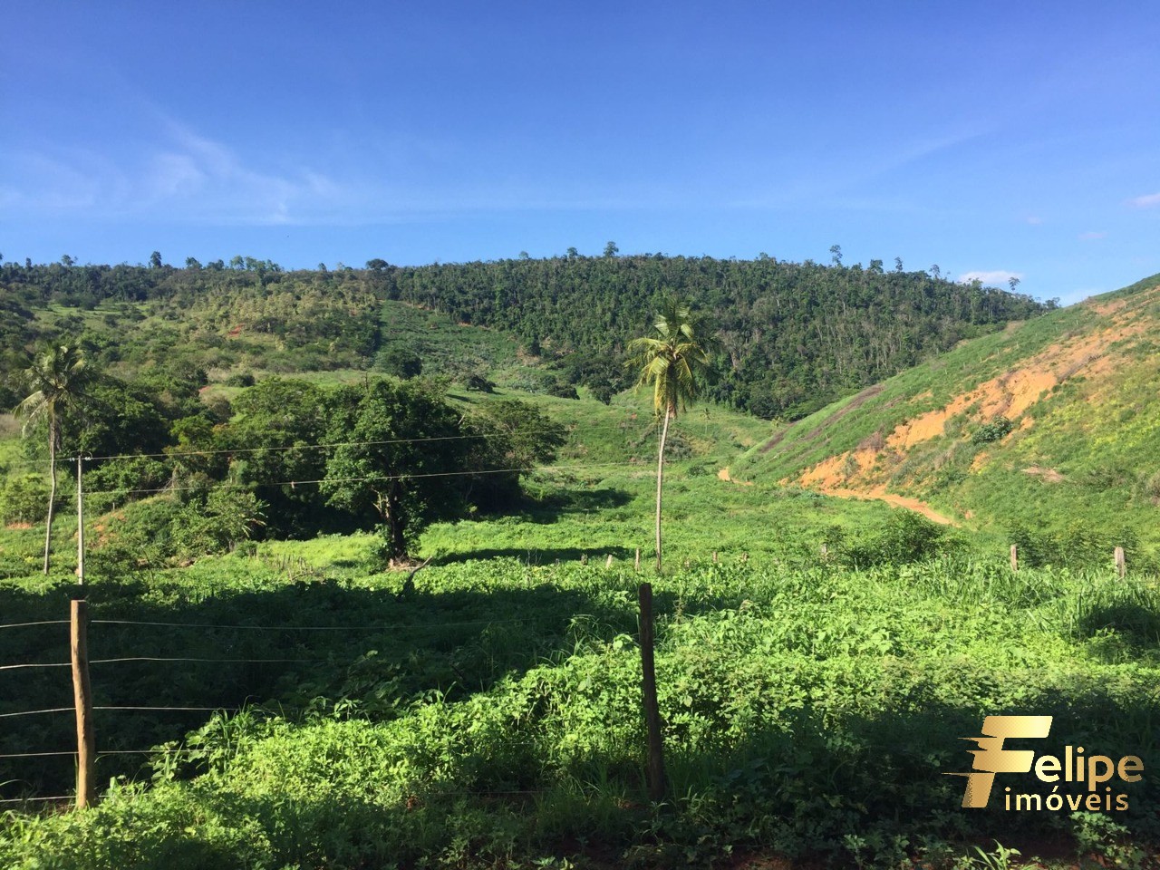 Fazenda à venda com 1 quarto, 113m² - Foto 1