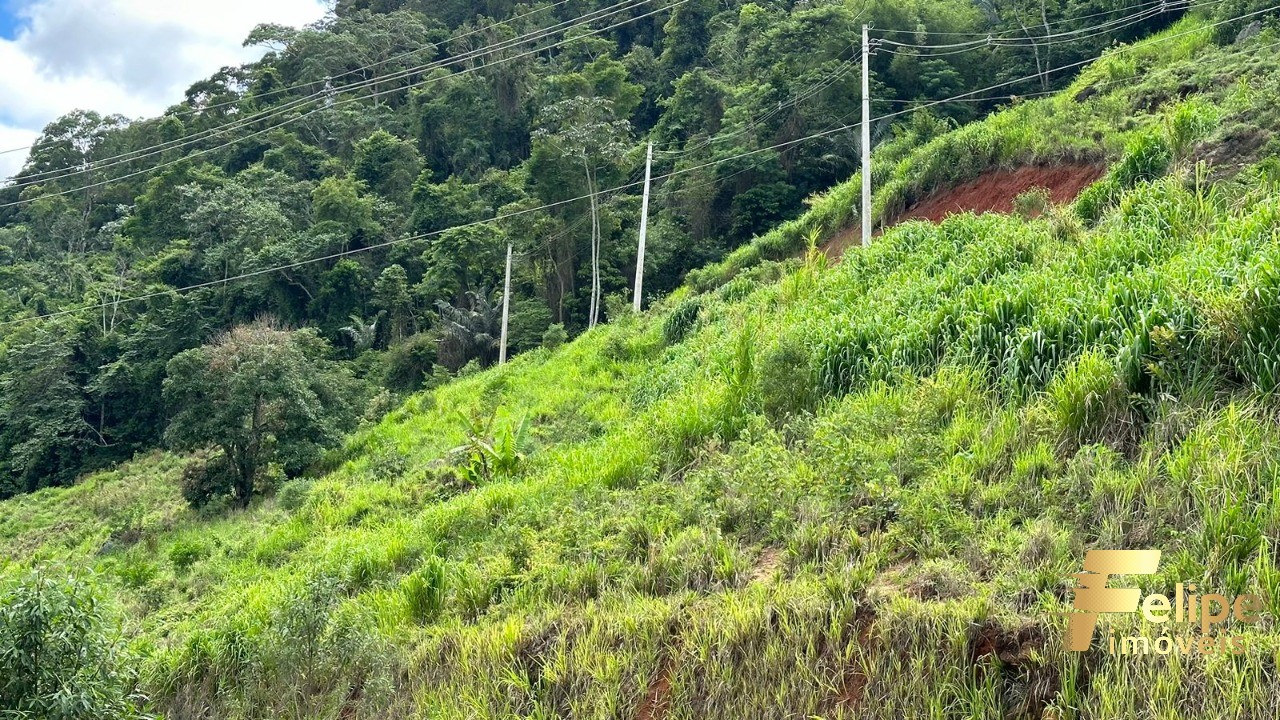 Terreno à venda, 15000m² - Foto 2