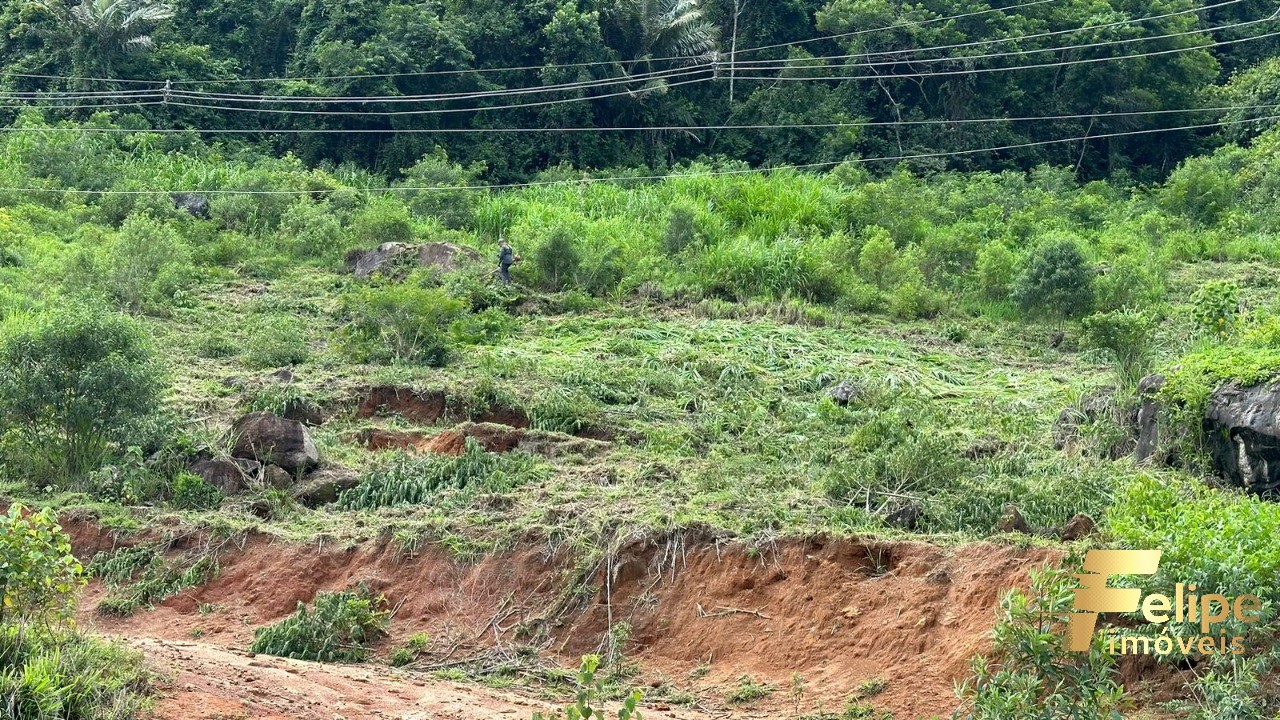 Terreno à venda, 15000m² - Foto 3