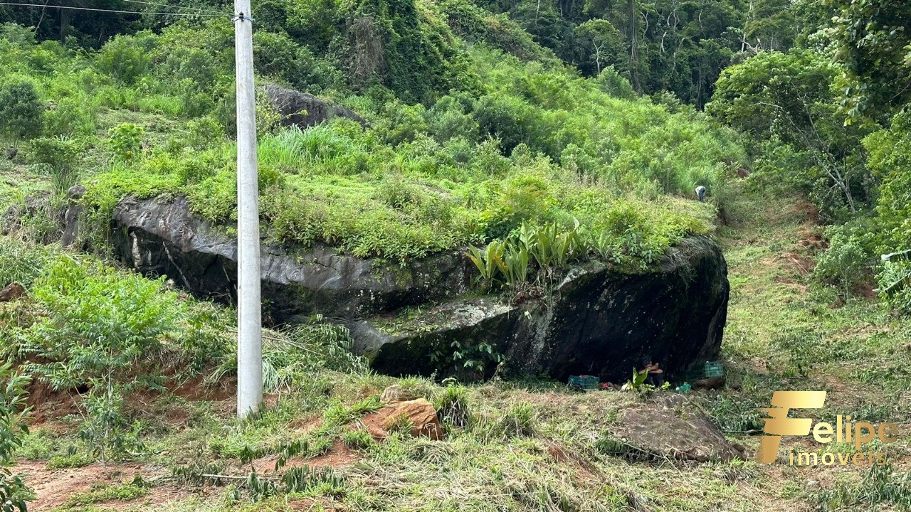 Terreno à venda, 7500m² - Foto 4