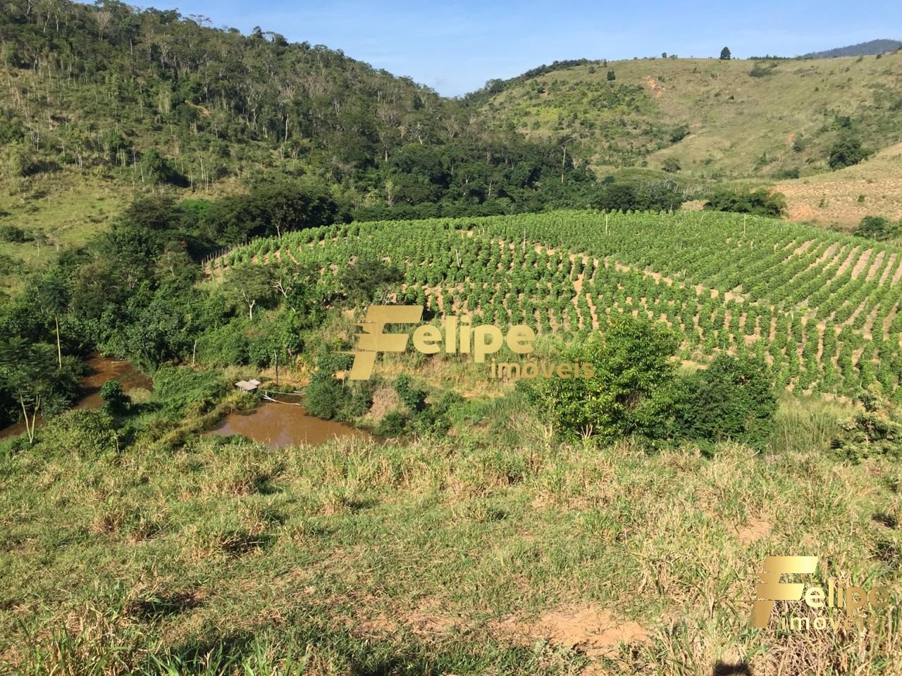 Fazenda à venda com 1 quarto, 55m² - Foto 5