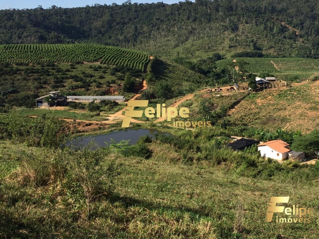 Fazenda à venda com 1 quarto, 55m² - Foto 1