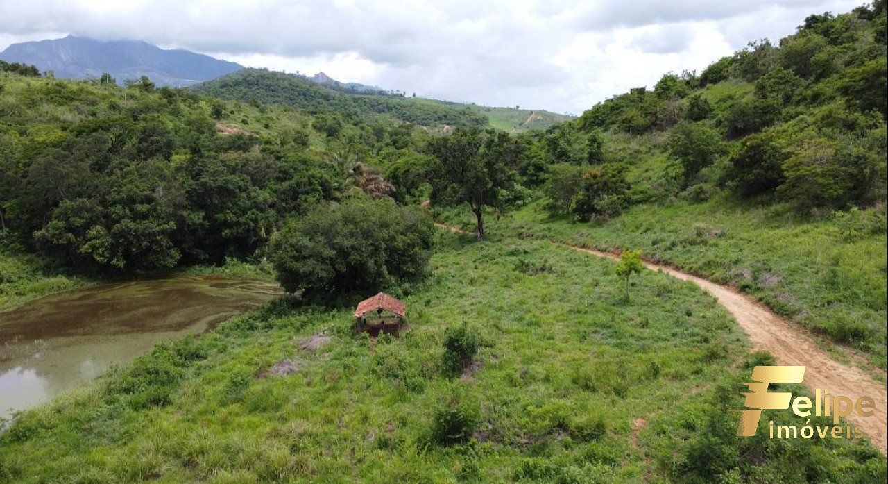 Fazenda à venda com 1 quarto, 113m² - Foto 23