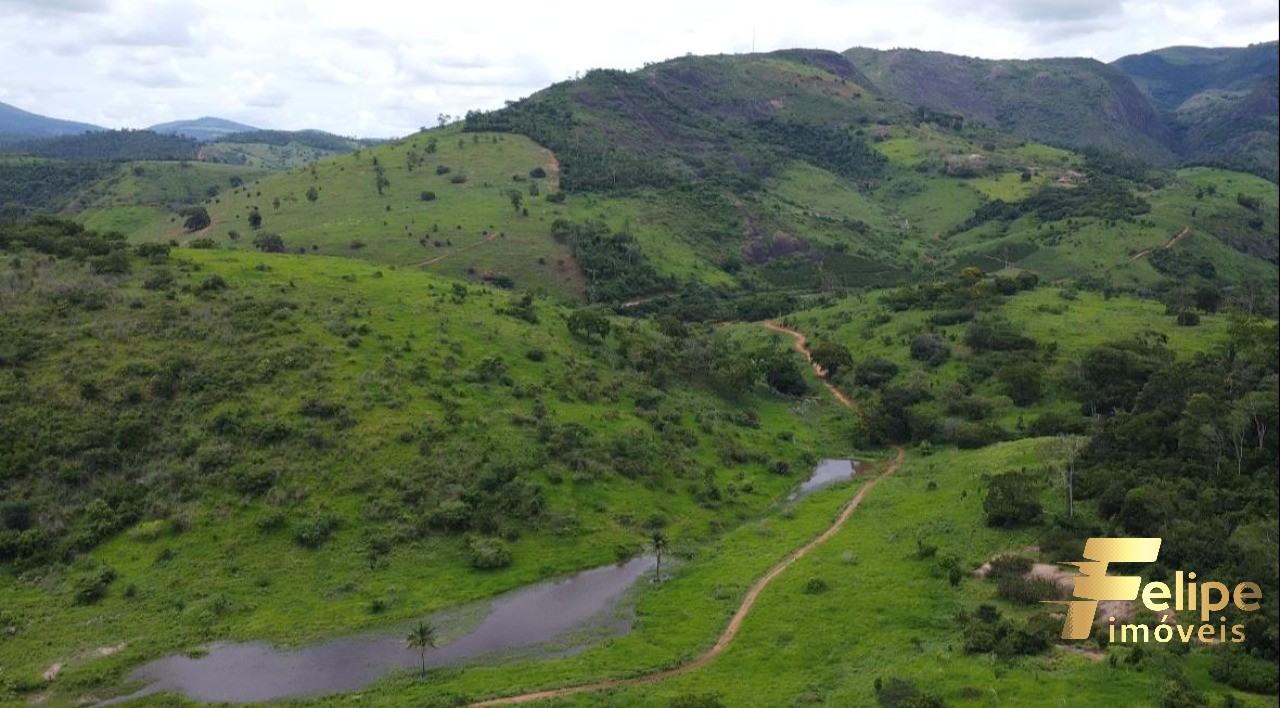 Fazenda à venda com 1 quarto, 113m² - Foto 26