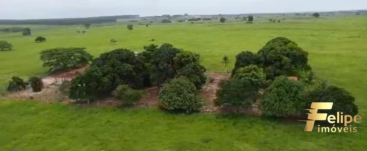 Fazenda à venda com 1 quarto, 150m² - Foto 6