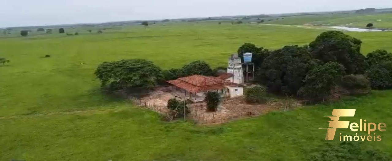 Fazenda à venda com 1 quarto, 150m² - Foto 7