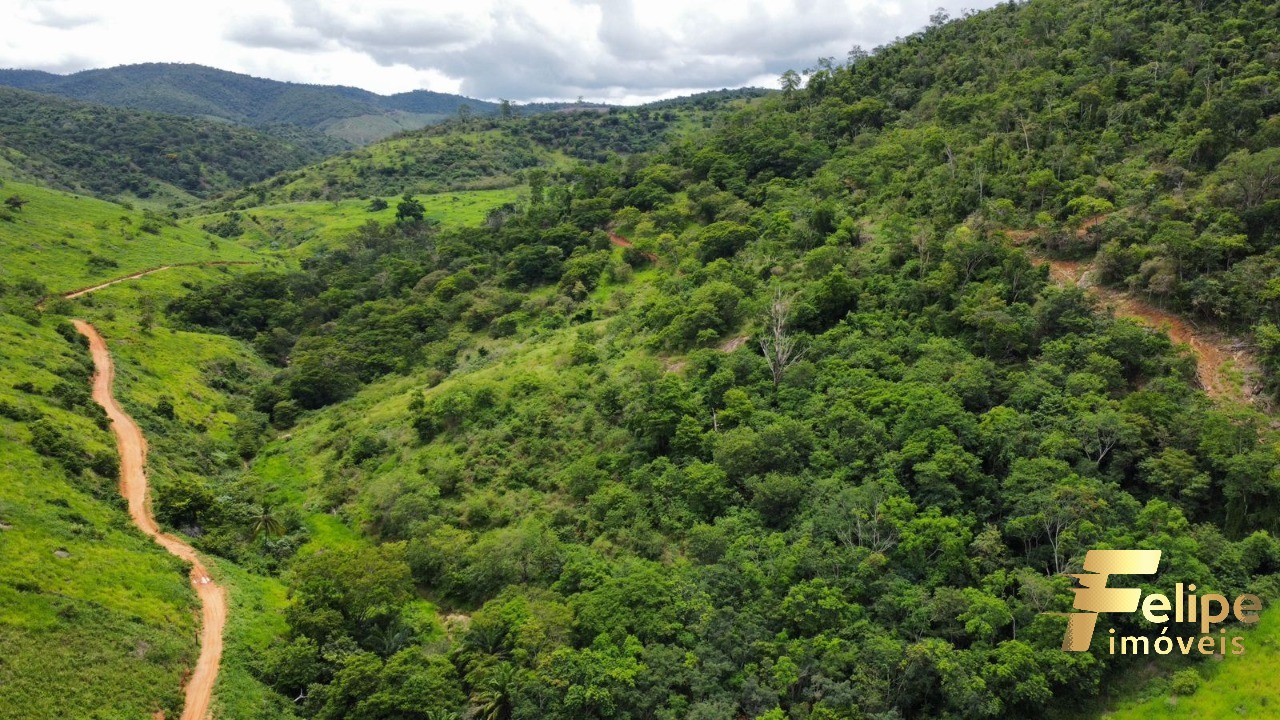 Fazenda à venda com 1 quarto, 113m² - Foto 7