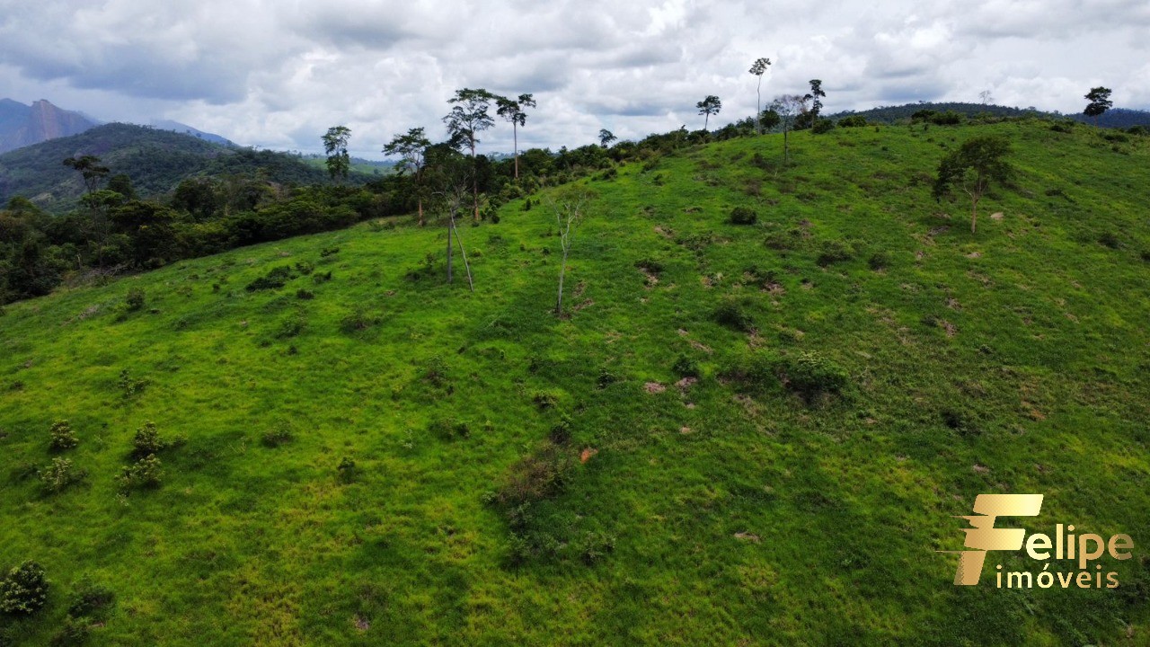 Fazenda à venda com 1 quarto, 113m² - Foto 5