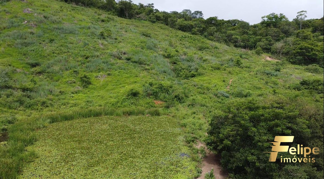 Fazenda à venda com 1 quarto, 113m² - Foto 22