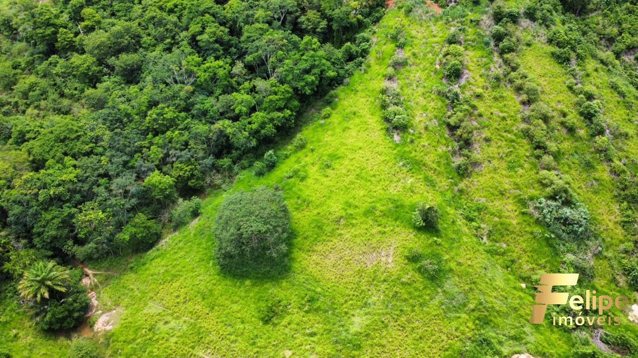 Fazenda à venda com 1 quarto, 113m² - Foto 9