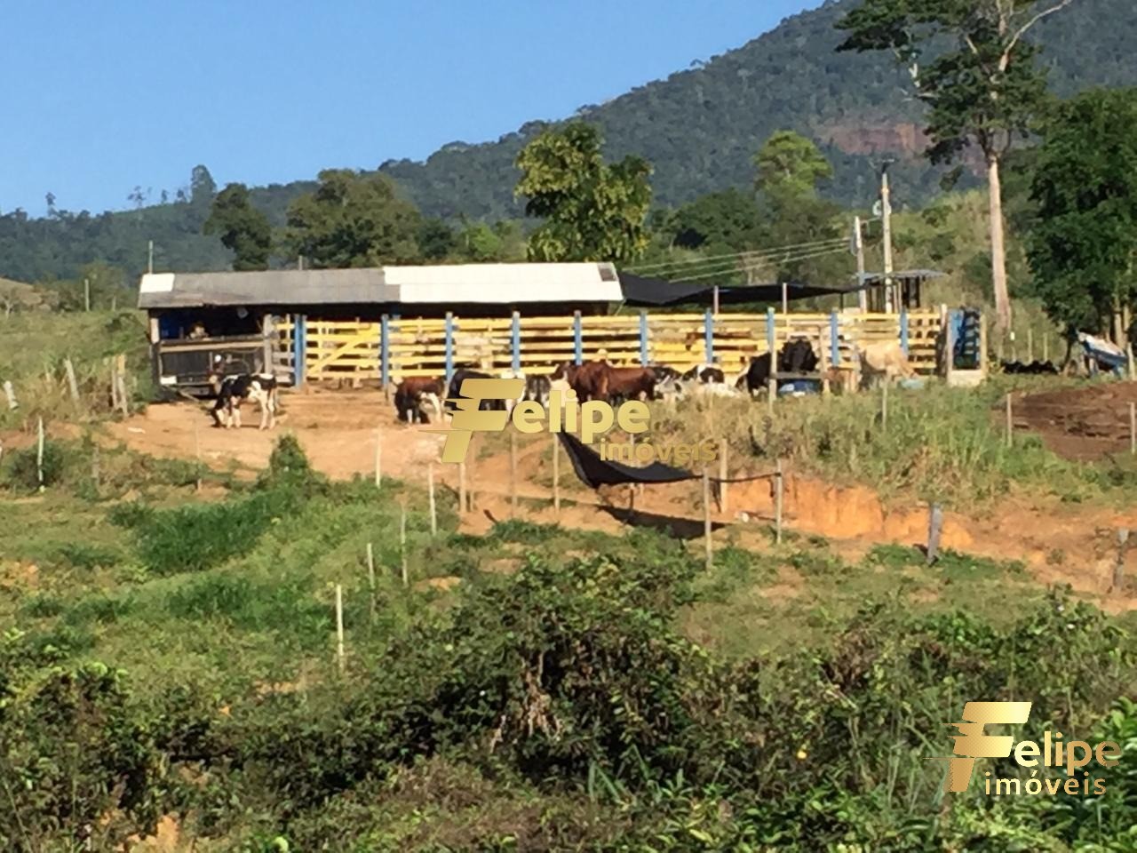 Fazenda à venda com 1 quarto, 55m² - Foto 51