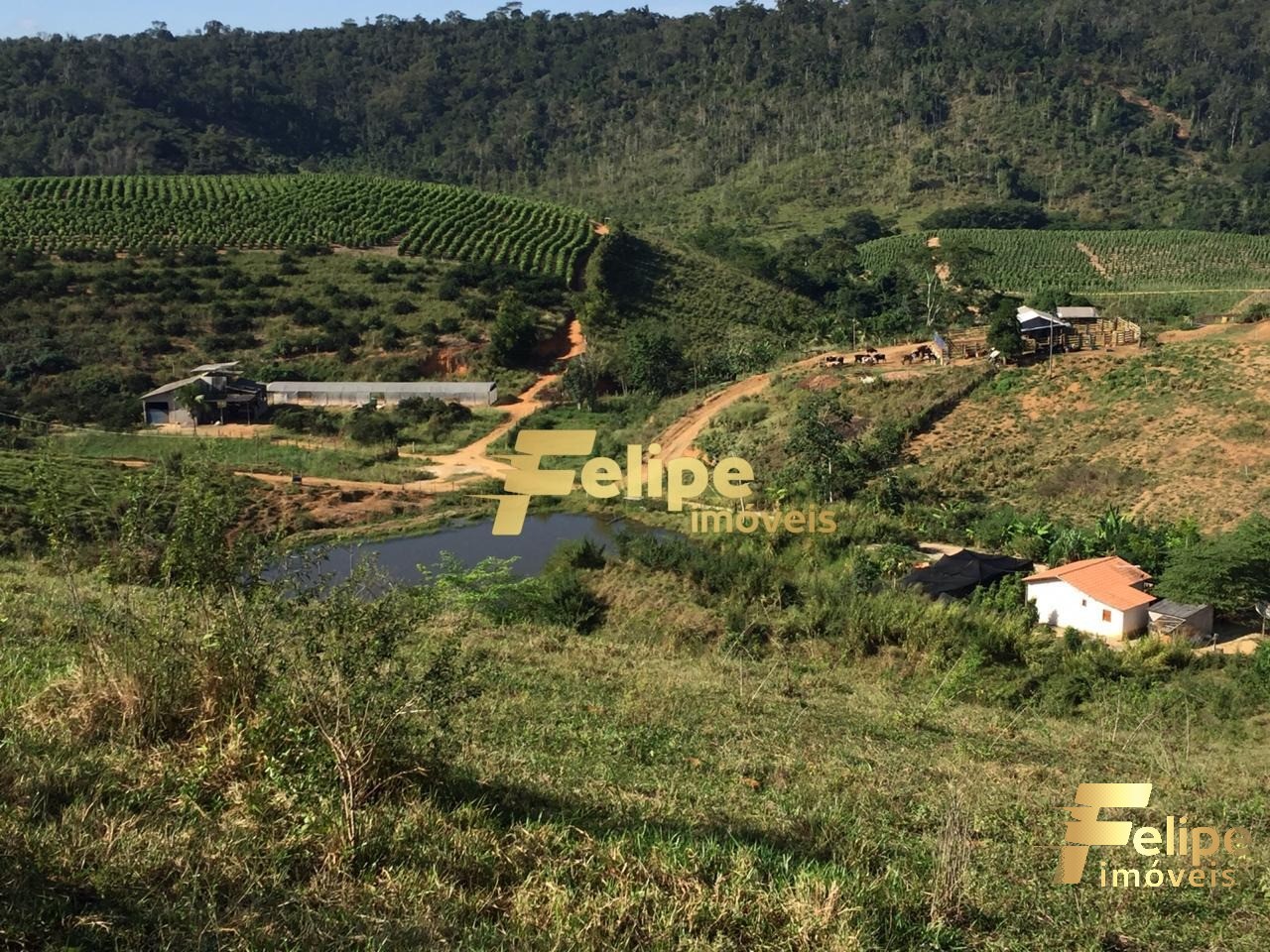 Fazenda à venda com 1 quarto, 55m² - Foto 6