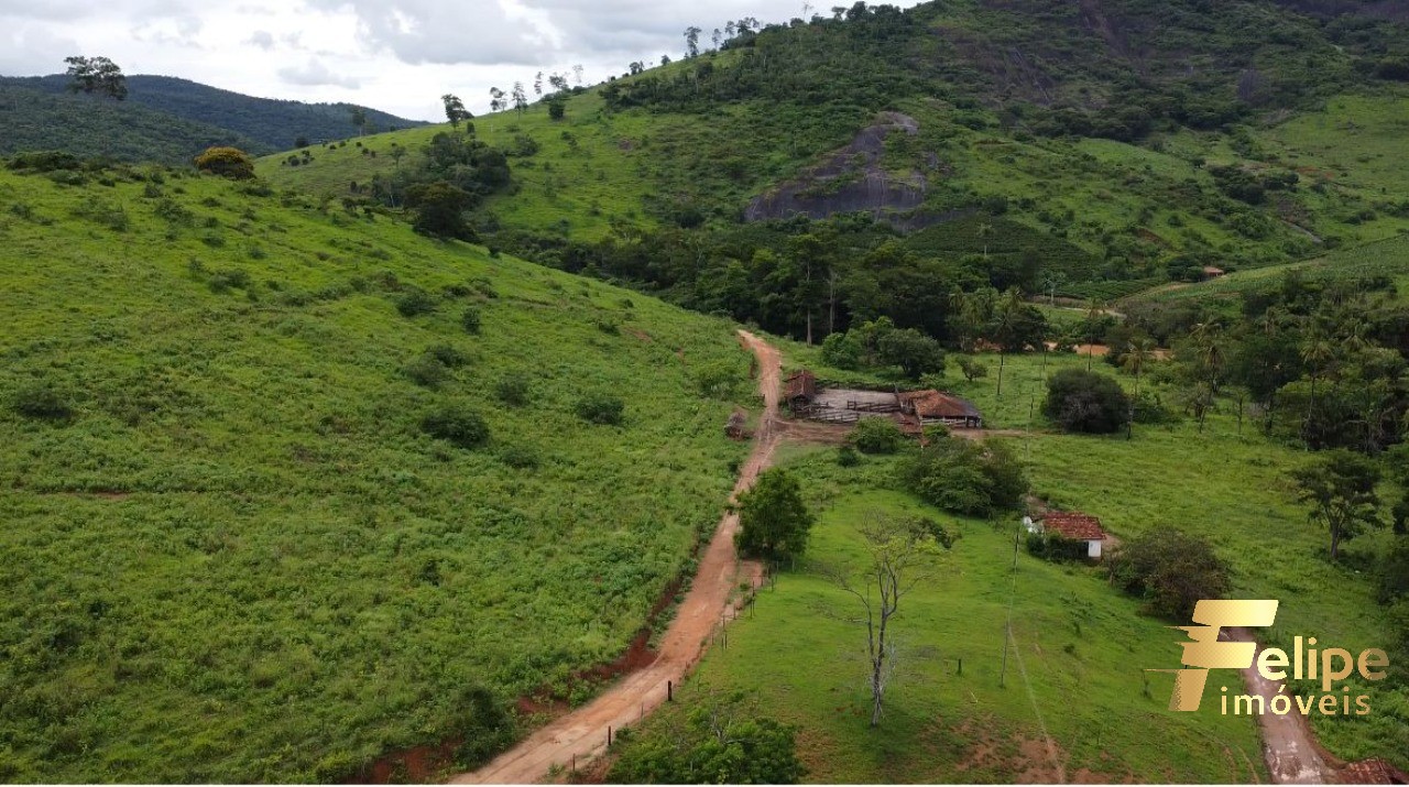 Fazenda à venda com 1 quarto, 113m² - Foto 14