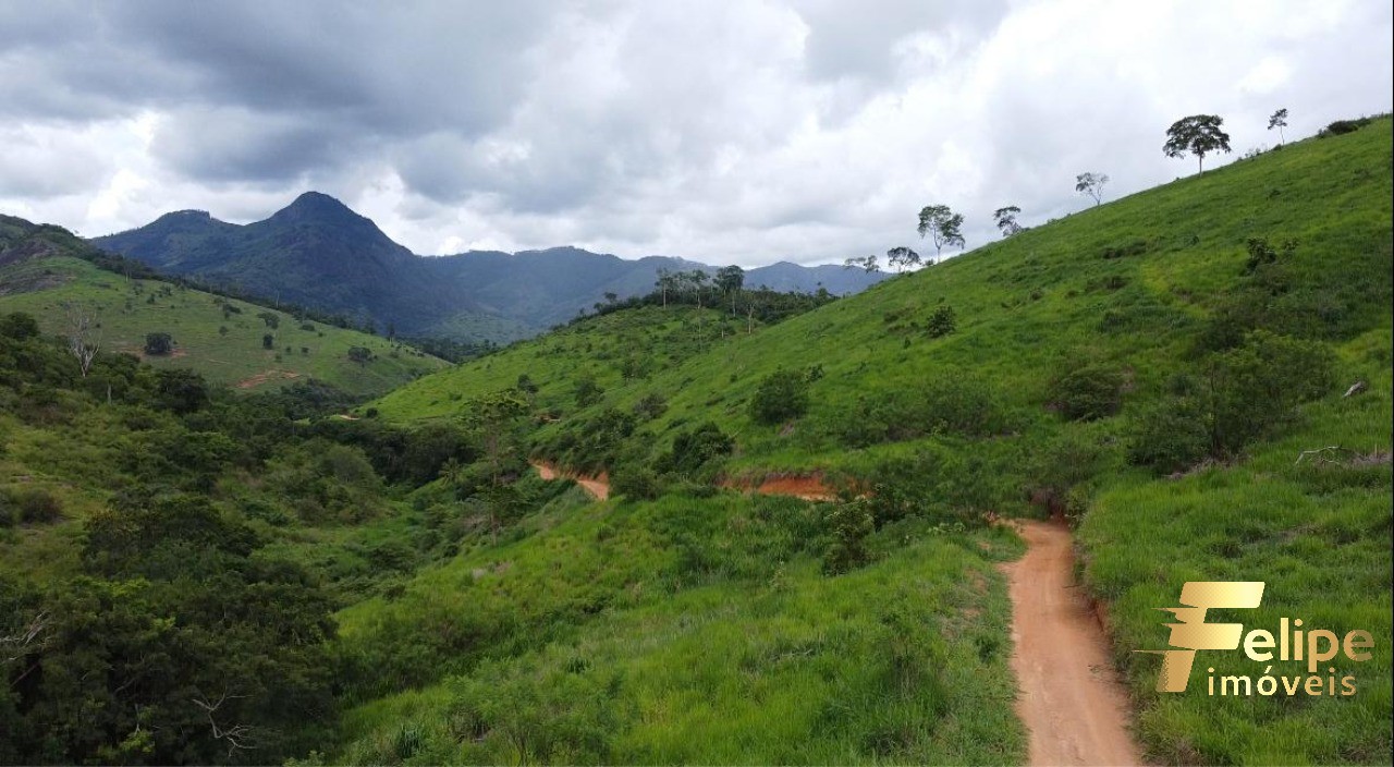 Fazenda à venda com 1 quarto, 113m² - Foto 21