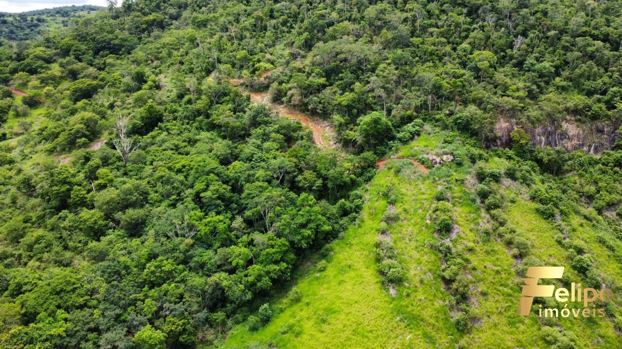 Fazenda à venda com 1 quarto, 113m² - Foto 8