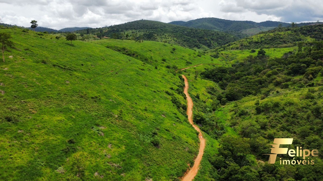 Fazenda à venda com 1 quarto, 113m² - Foto 6