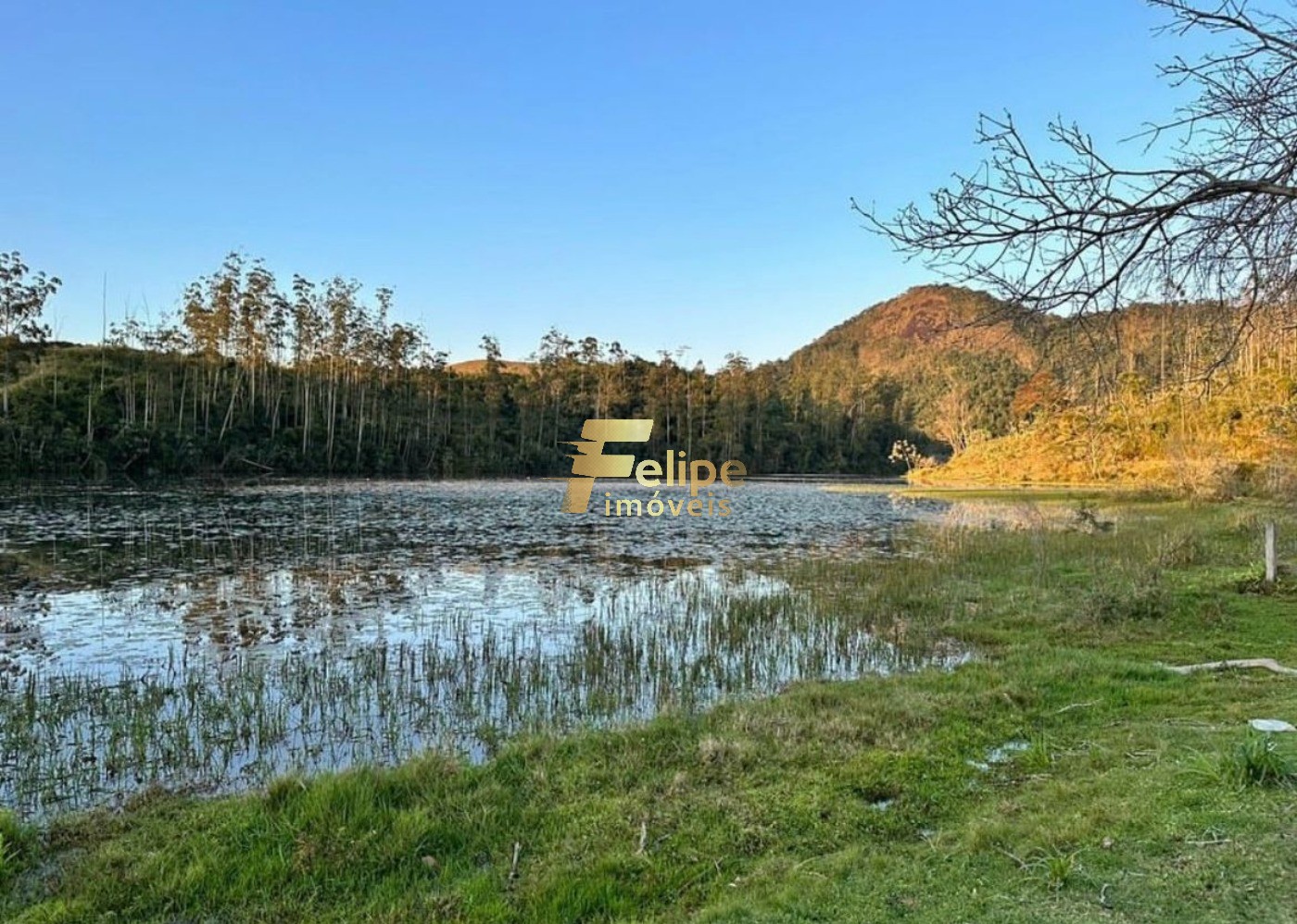 Fazenda à venda com 11 quartos, 165m² - Foto 20