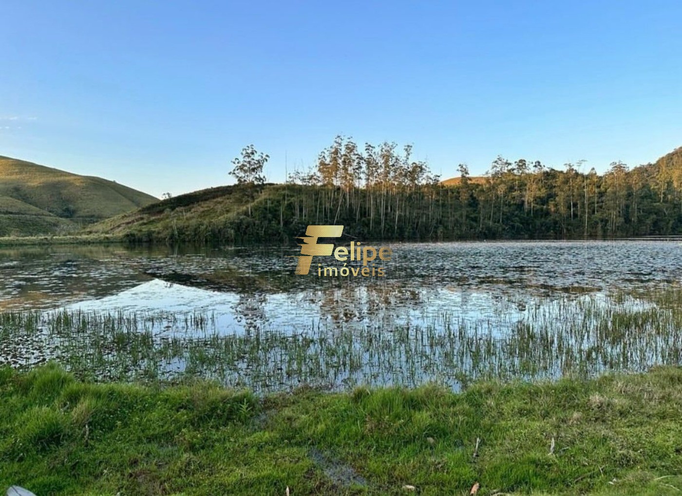 Fazenda à venda com 11 quartos, 165m² - Foto 19