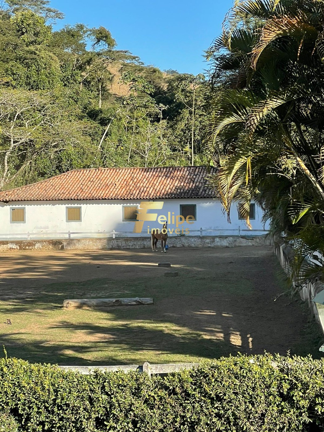 Fazenda à venda com 11 quartos, 165m² - Foto 8