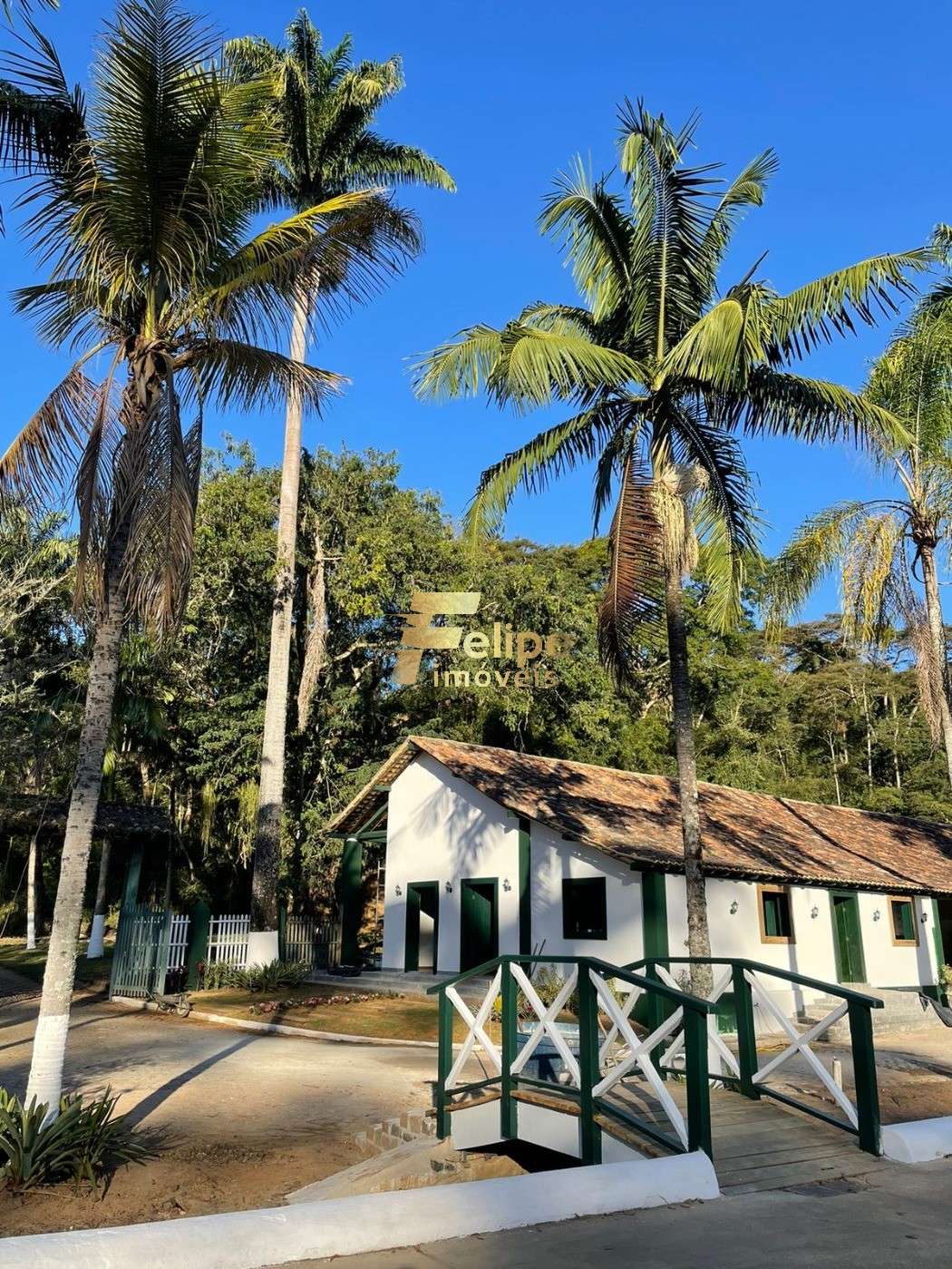 Fazenda à venda com 11 quartos, 165m² - Foto 9