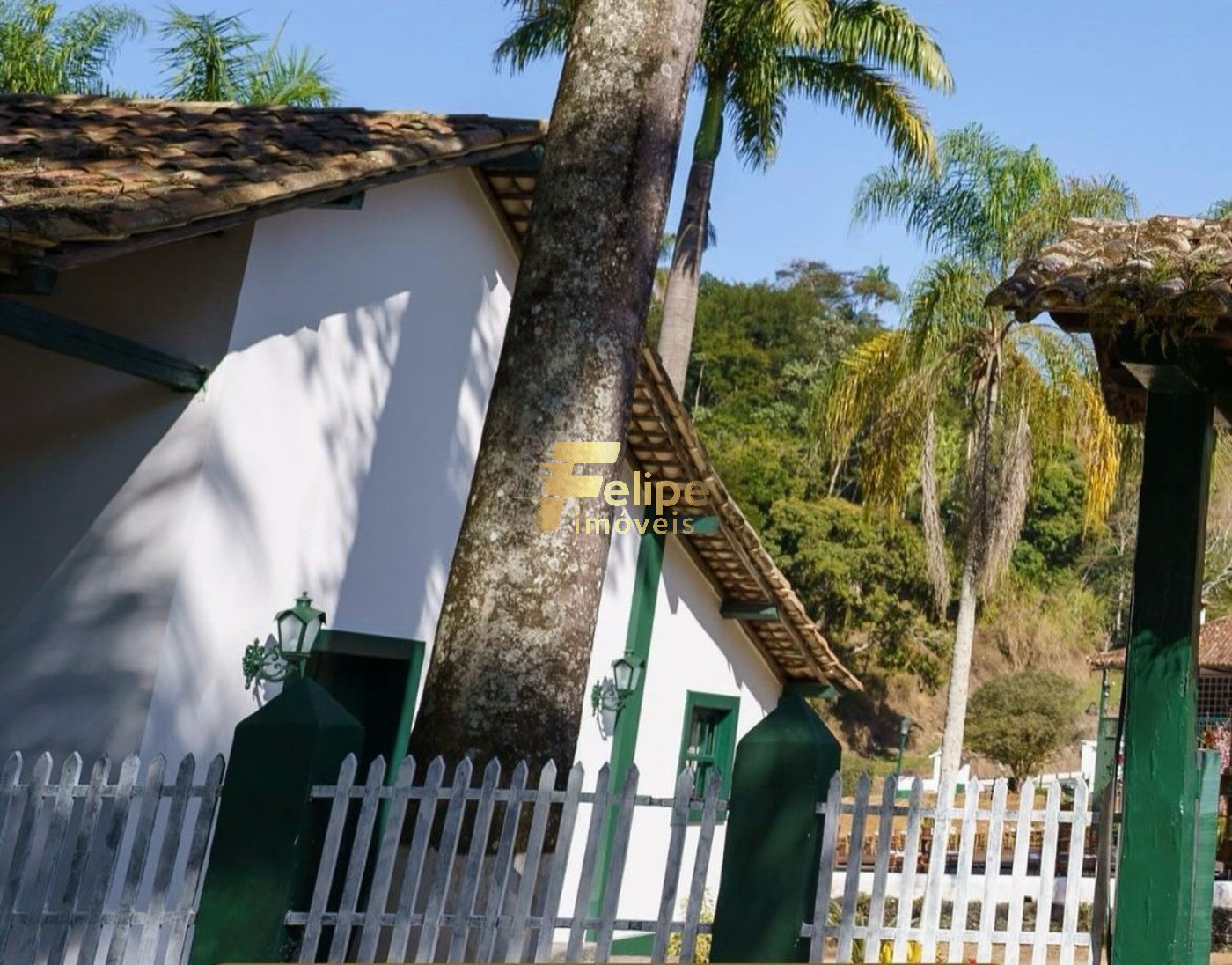 Fazenda à venda com 11 quartos, 165m² - Foto 26