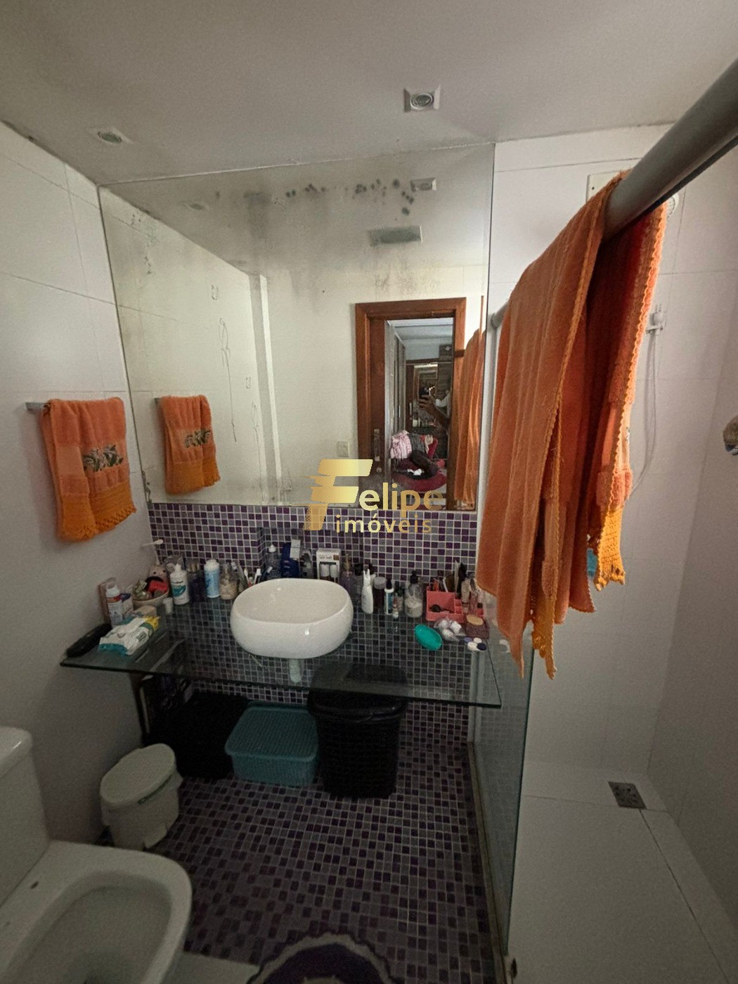 Apartamento à venda com 3 quartos, 120m² - Foto 12