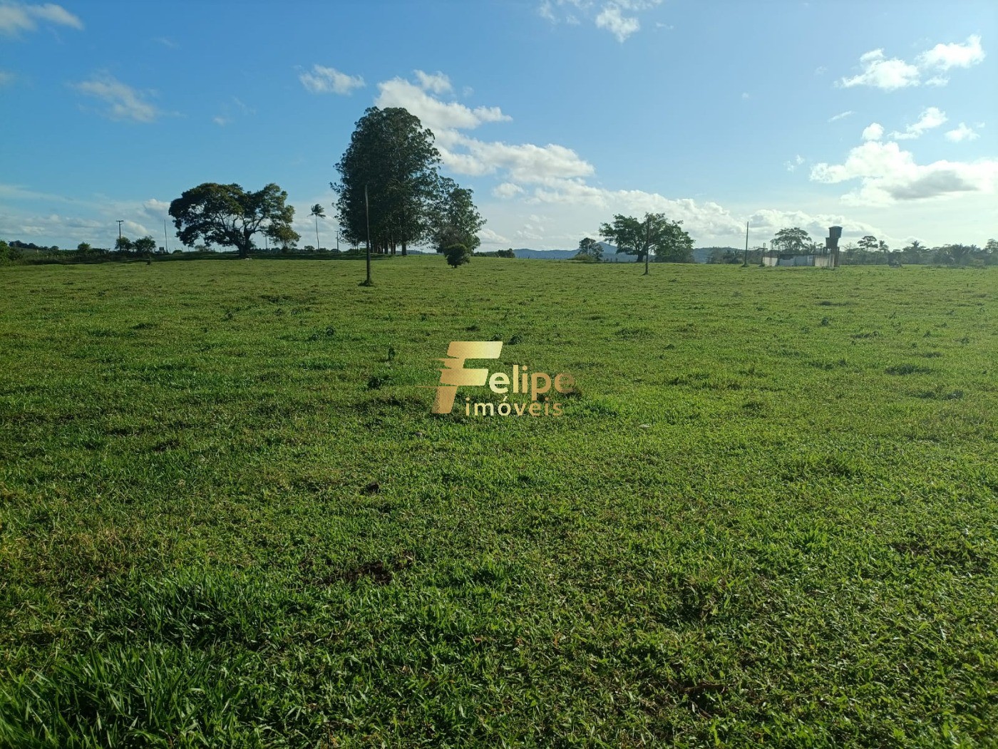 Fazenda à venda com 1 quarto, 280m² - Foto 4