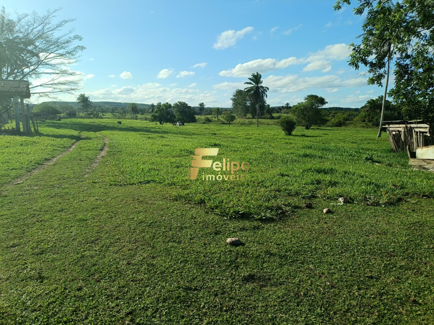 Fazenda à venda com 1 quarto, 280m² - Foto 1