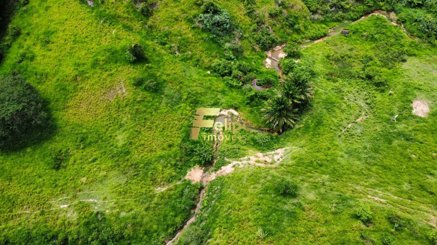 Fazenda à venda com 1 quarto, 113m² - Foto 14