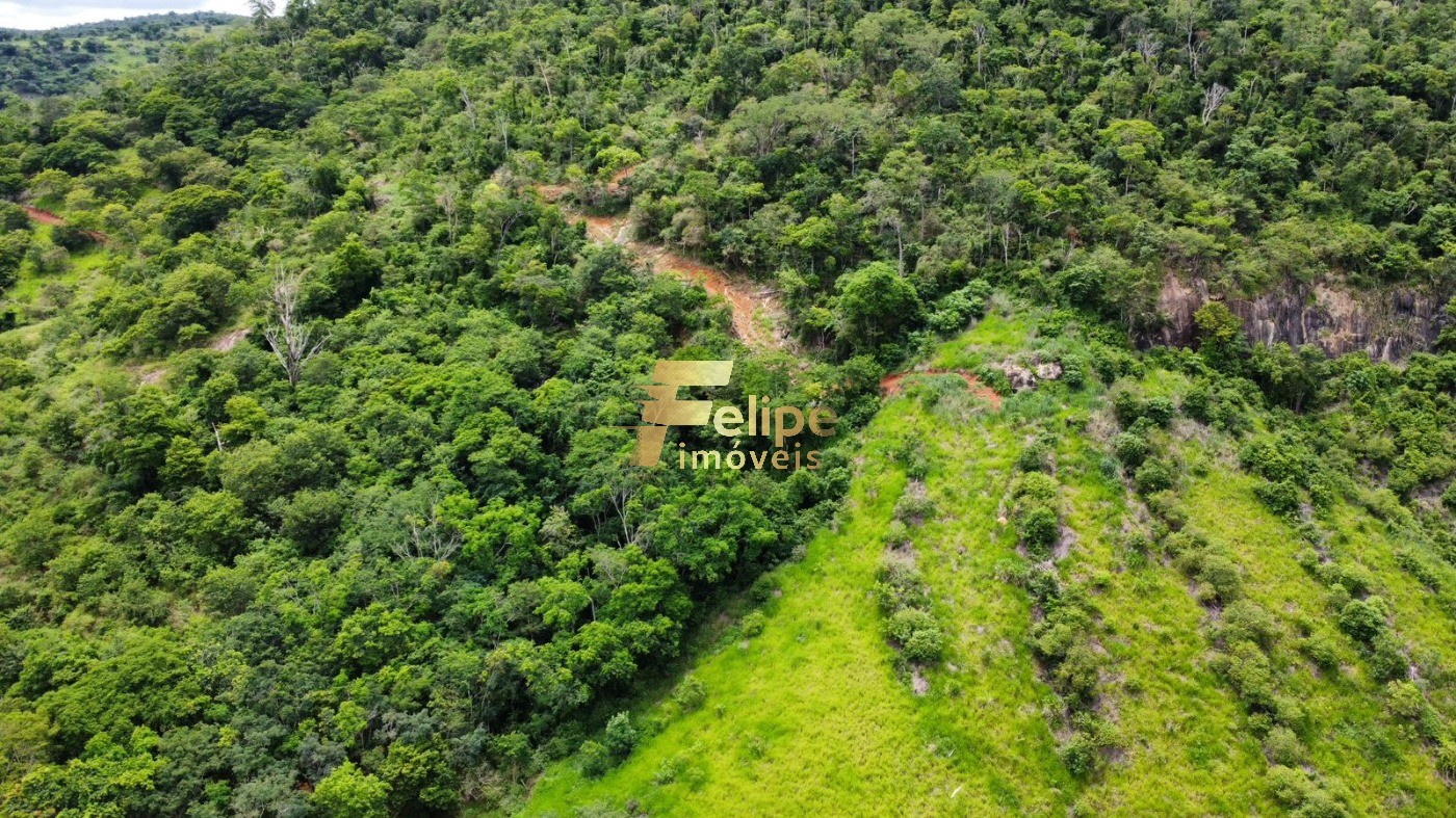 Fazenda à venda com 1 quarto, 113m² - Foto 7