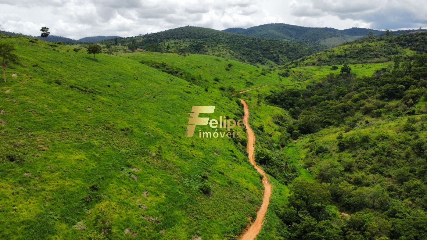 Fazenda à venda com 1 quarto, 113m² - Foto 5