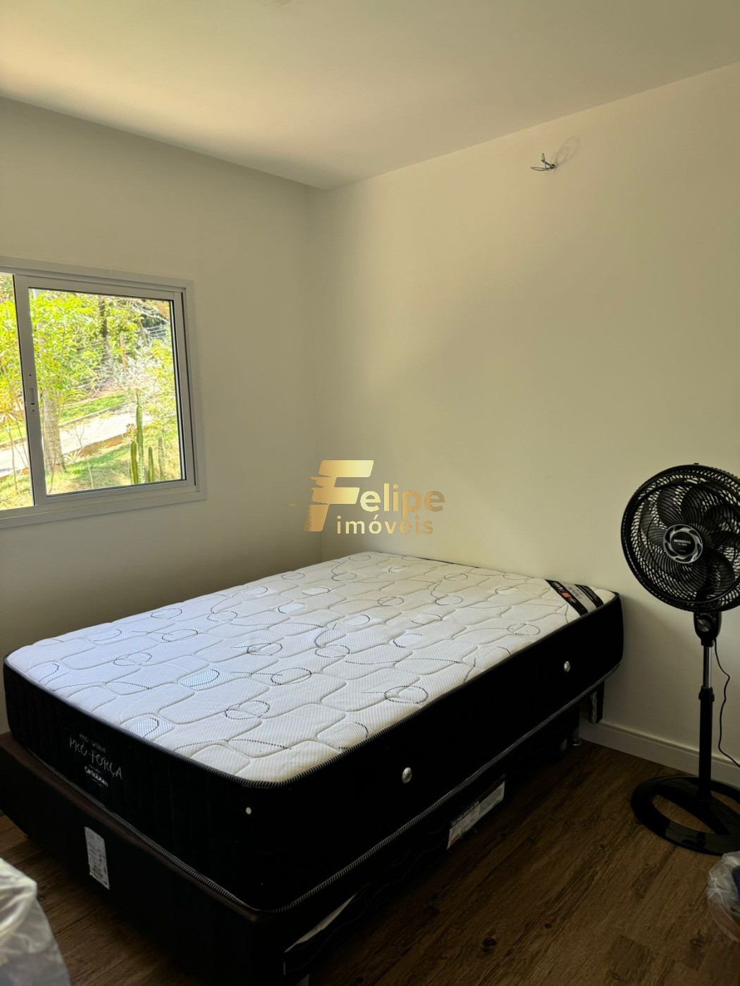 Sítio, 1 quarto, 1000 m² - Foto 15