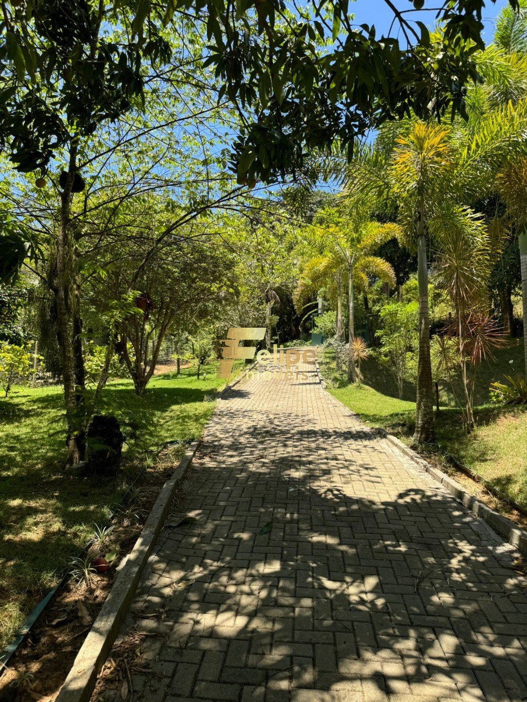 Sítio, 1 quarto, 1000 m² - Foto 22