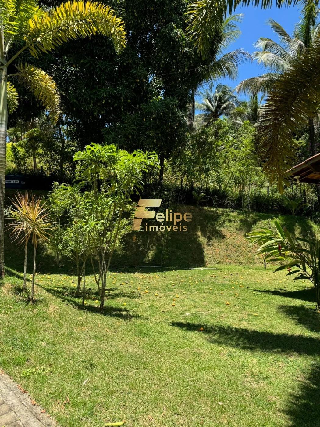Sítio, 1 quarto, 1000 m² - Foto 19