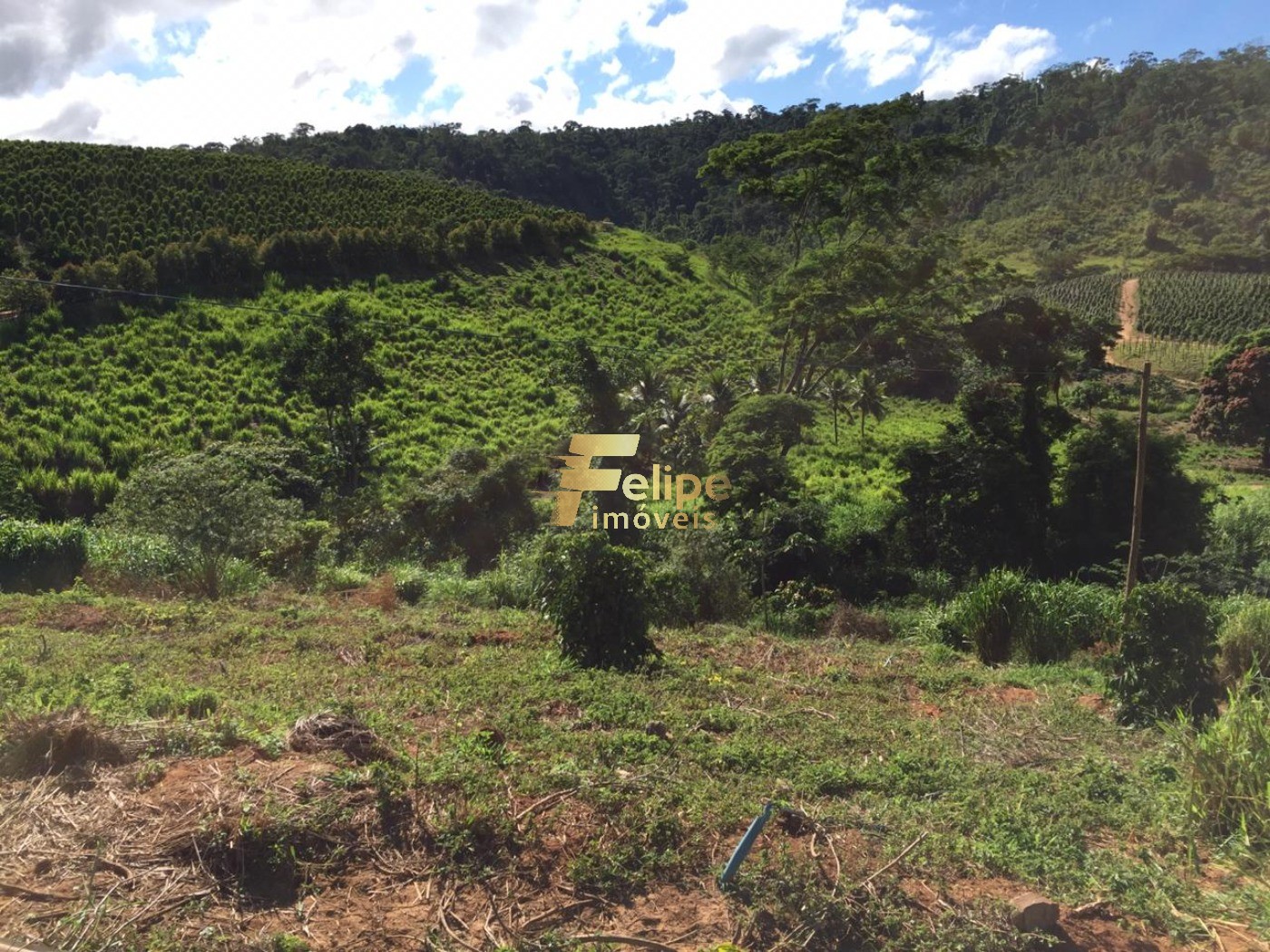 Fazenda, 50 m² - Foto 15