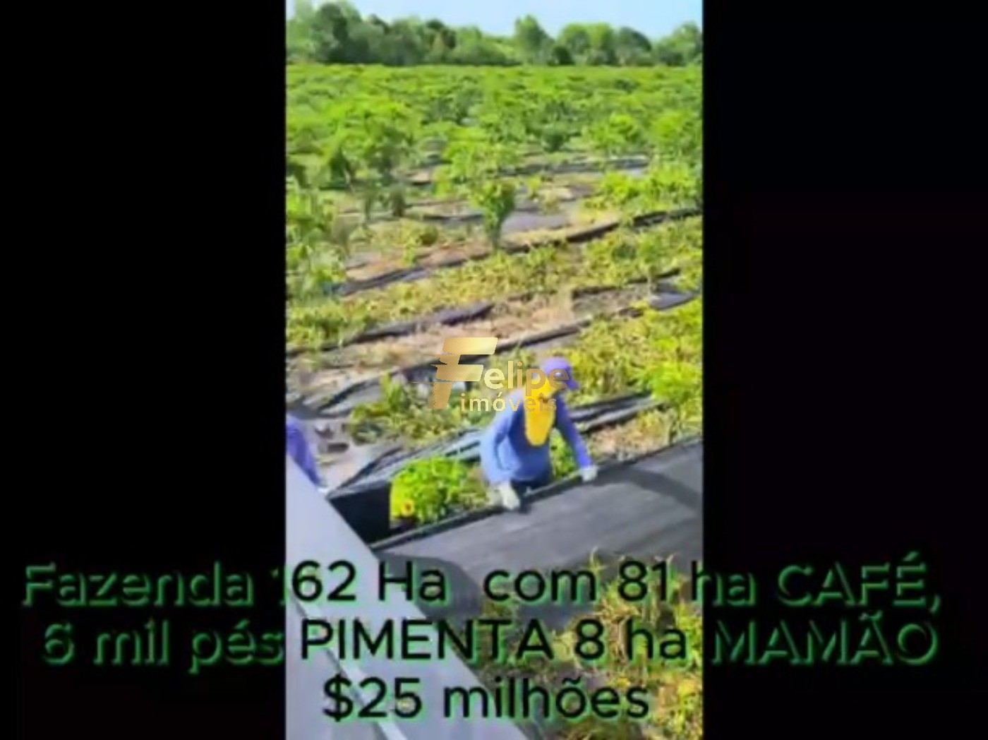 Fazenda, 162 m² - Foto 30