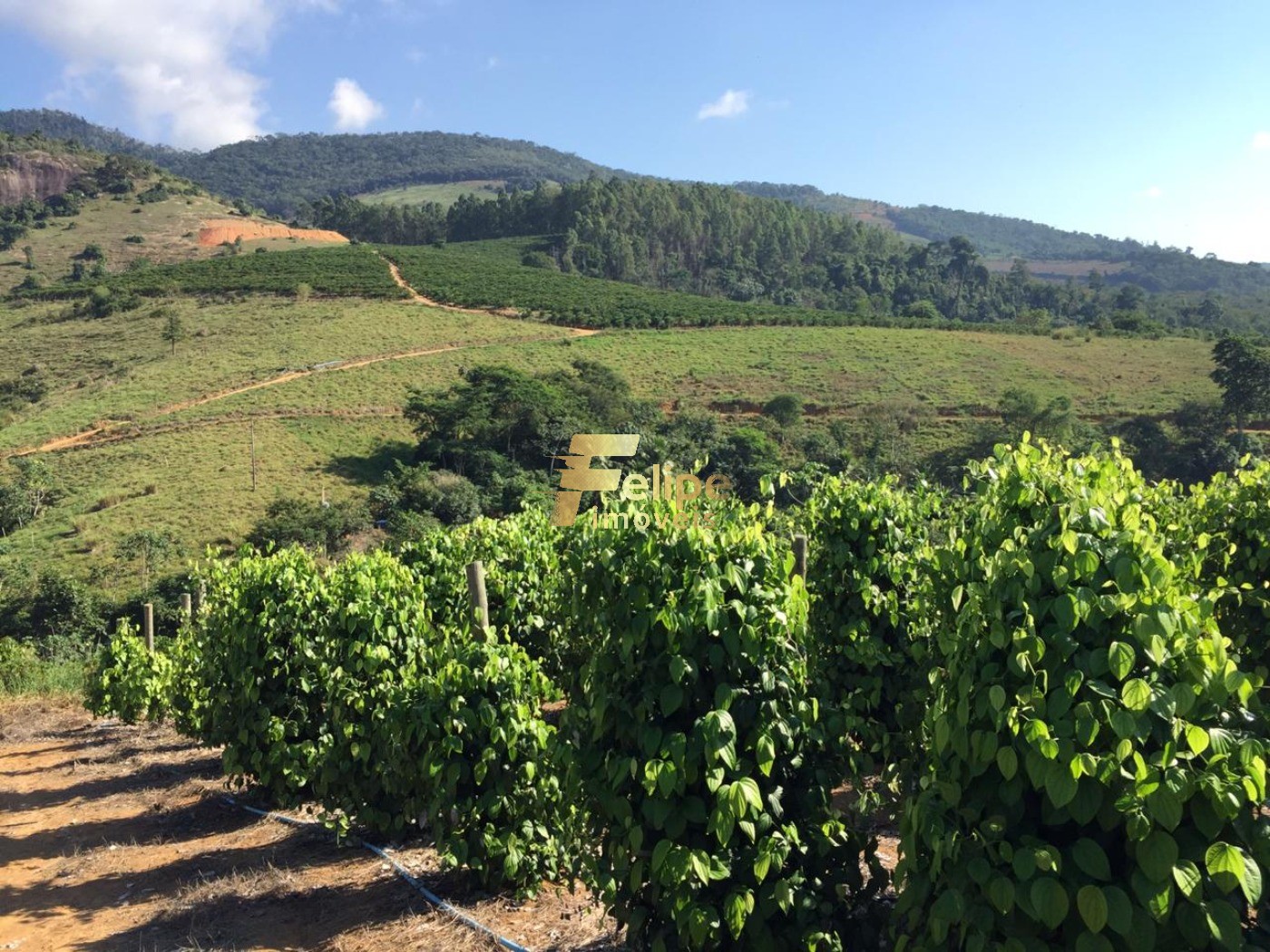 Fazenda, 50 m² - Foto 16