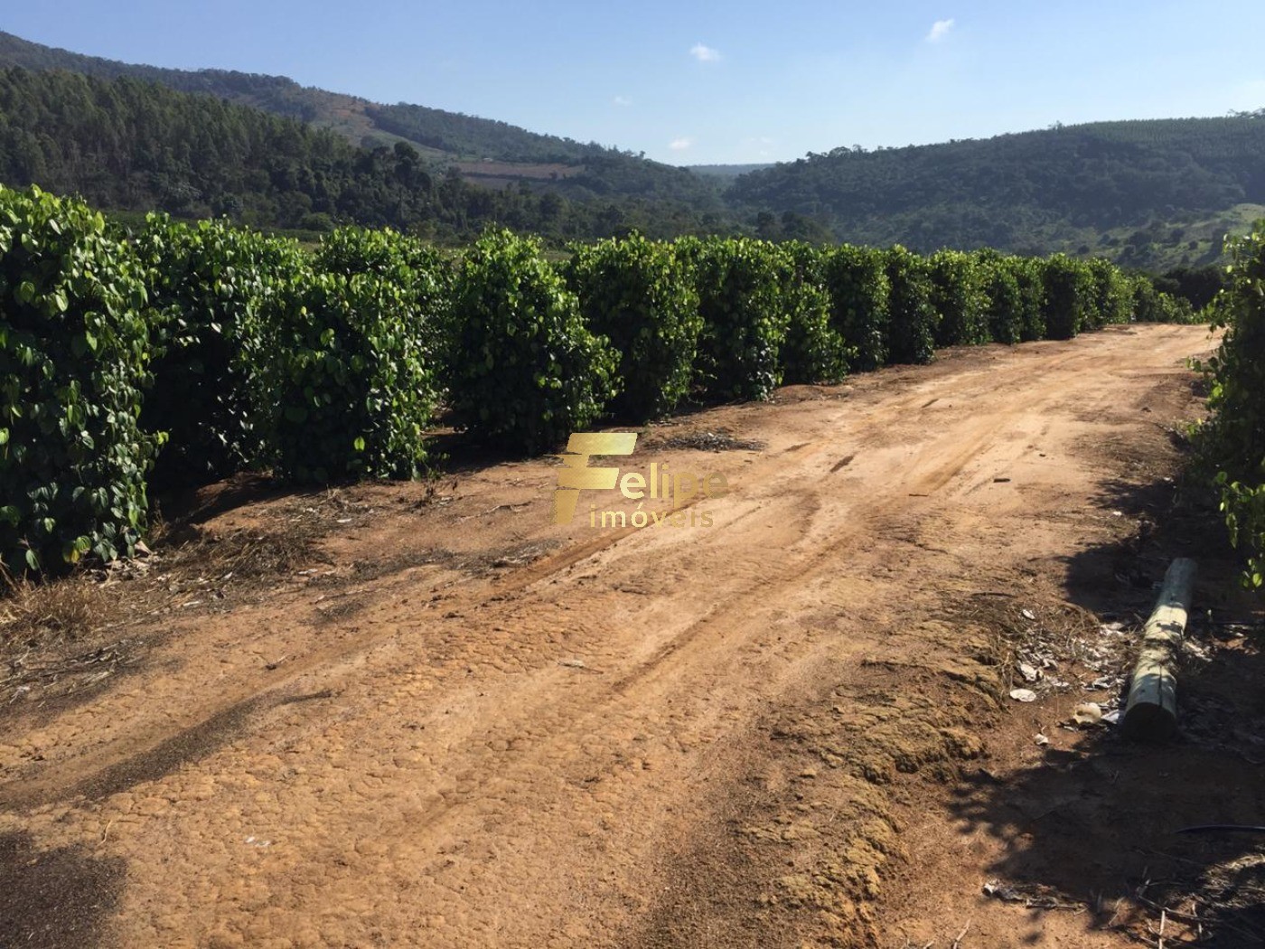 Fazenda, 50 m² - Foto 14