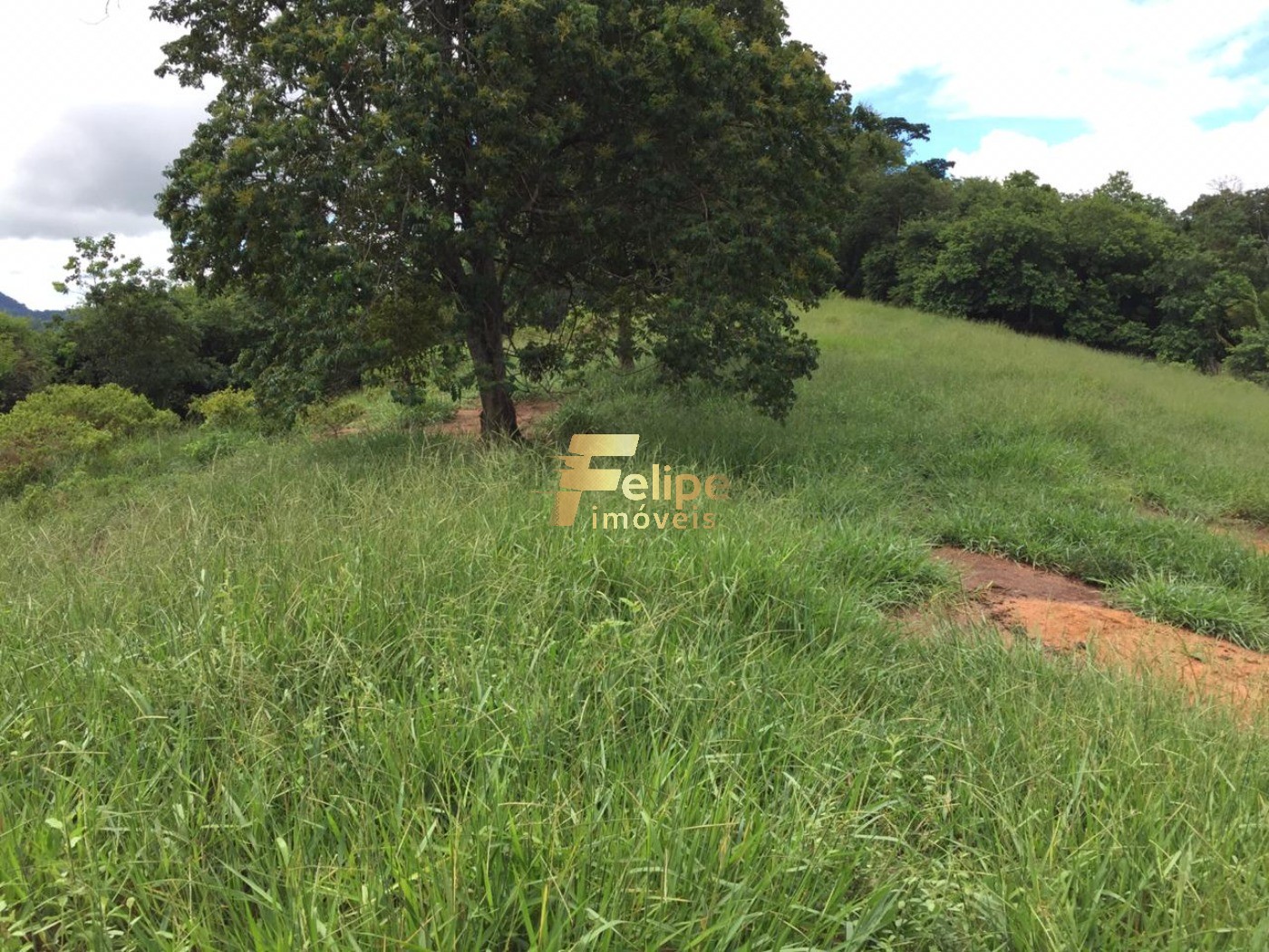 Fazenda, 50 m² - Foto 9