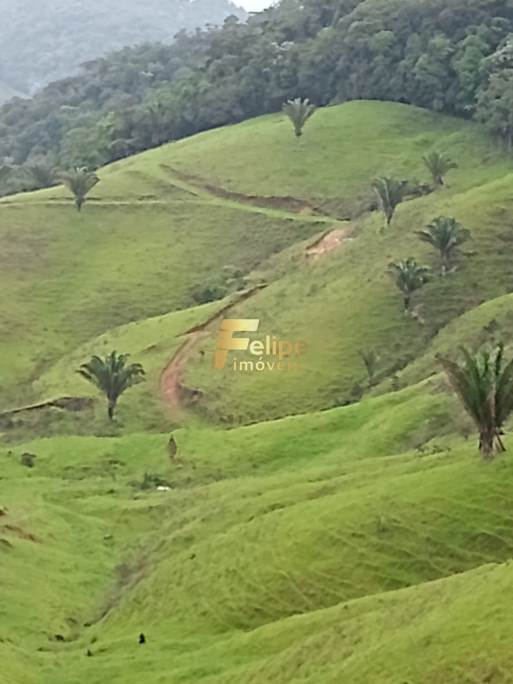 Fazenda, 1 quarto - Foto 23