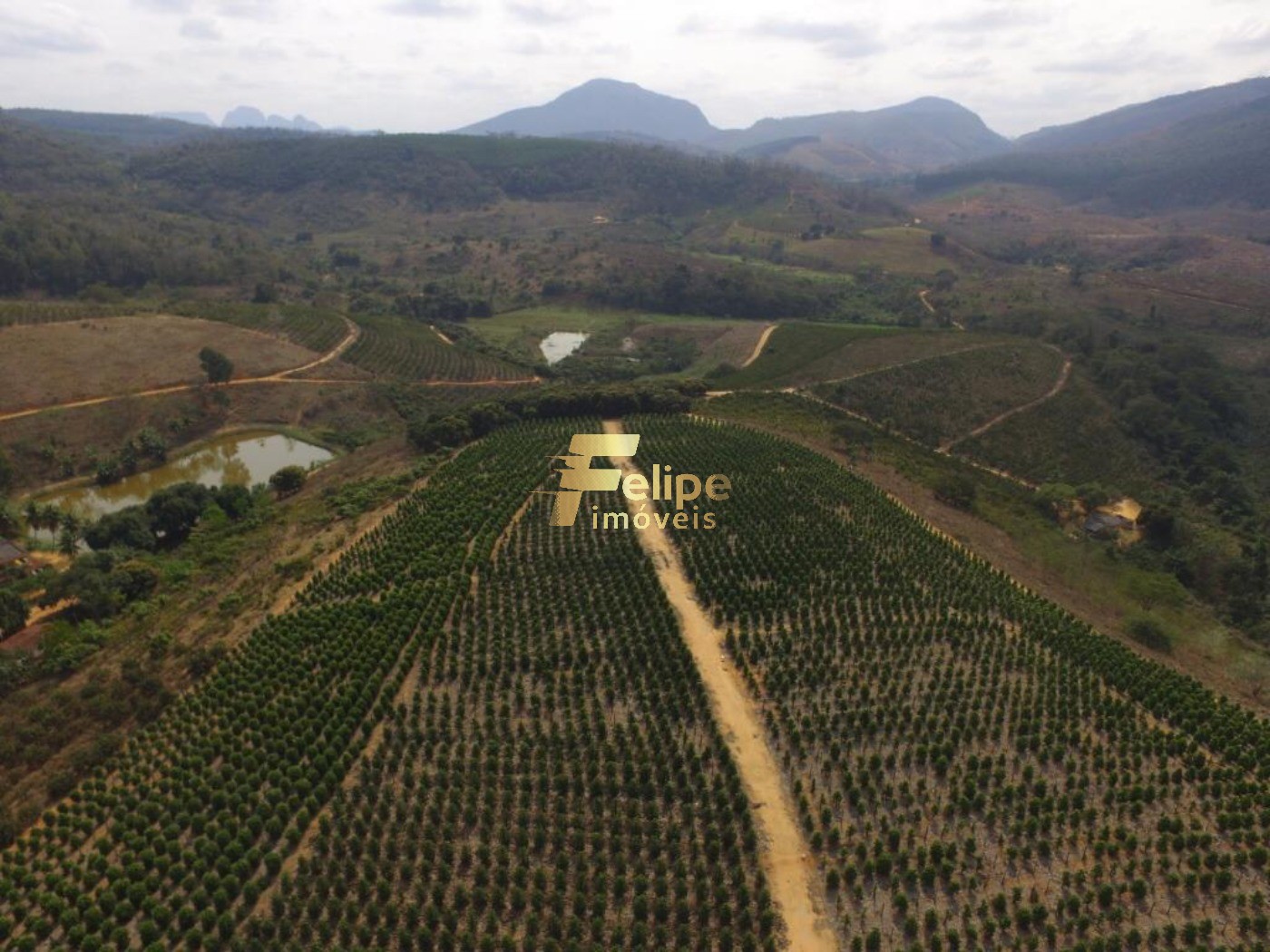 Fazenda, 50 m² - Foto 39