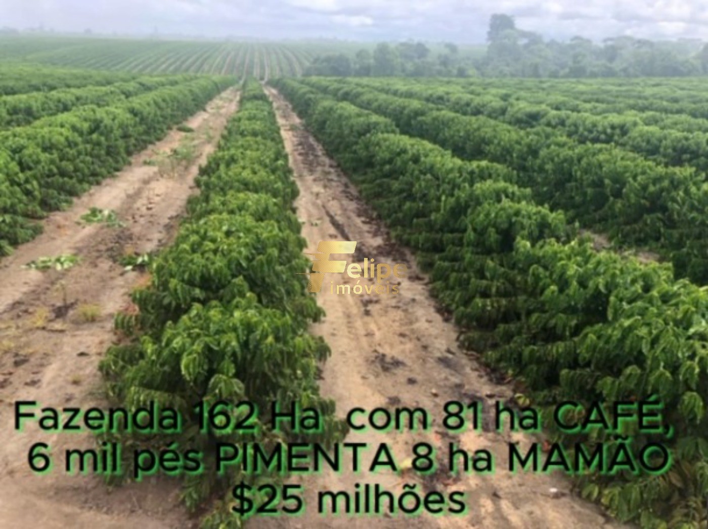 Fazenda, 162 m² - Foto 27